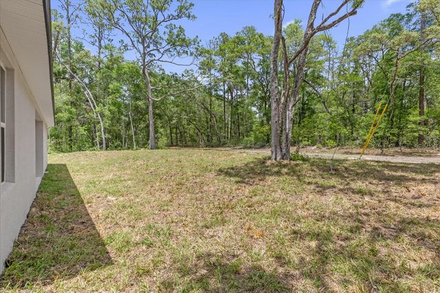 1377 W ALEXANDER DRIVE, Citrus Springs, FL 34434