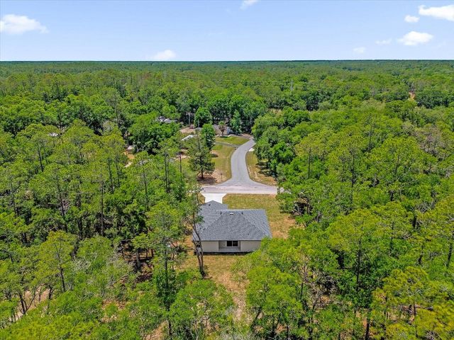 1377 W ALEXANDER DRIVE, Citrus Springs, FL 34434