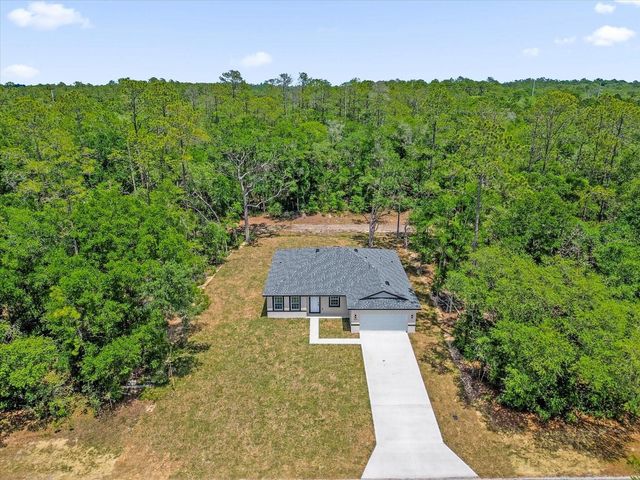 1377 W ALEXANDER DRIVE, Citrus Springs, FL 34434
