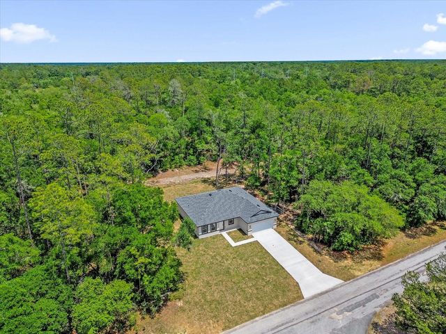 1377 W ALEXANDER DRIVE, Citrus Springs, FL 34434