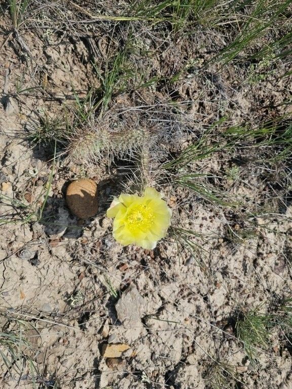 2627 Elk Creek Road, Winnett, MT 59087 photo 5