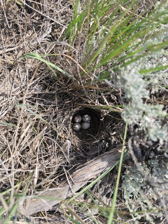 2627 Elk Creek Road, Winnett, MT 59087 photo 7