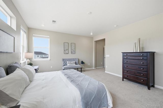 5559 Hickory Oaks Trail, Castle Rock, CO 80104