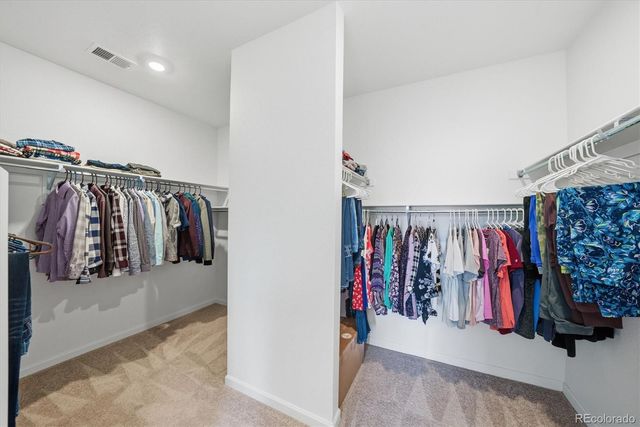 5559 Hickory Oaks Trail, Castle Rock, CO 80104