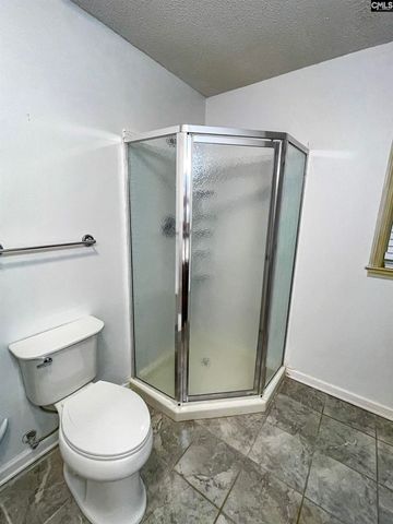 1826 Harrington Street, Newberry, SC 29108