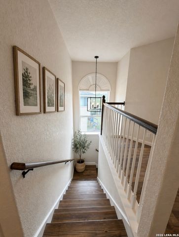 8007 Chisos Oak Dr, San Antonio, TX 78223