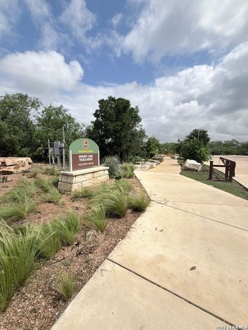 8007 Chisos Oak Dr, San Antonio, TX 78223