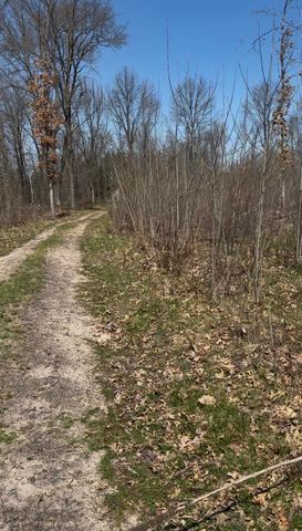491 Big Stone Lake Road, Lake, MI 48632