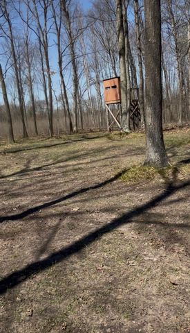 491 Big Stone Lake Road, Lake, MI 48632