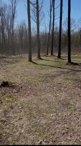 491 Big Stone Lake Road, Lake, MI 48632