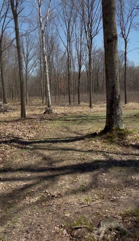 491 Big Stone Lake Road, Lake, MI 48632