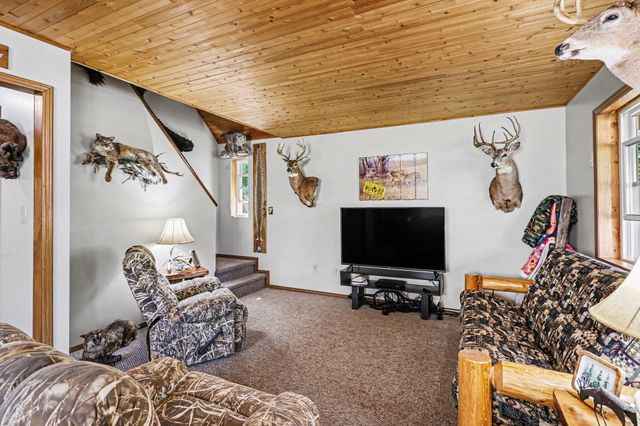 491 Big Stone Lake Road, Lake, MI 48632