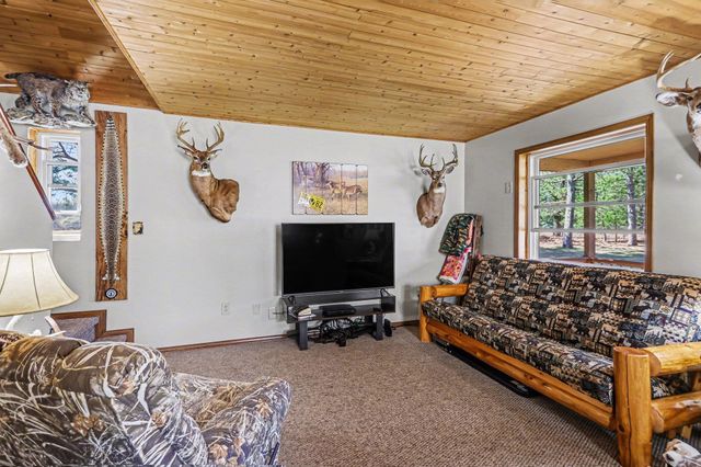 491 Big Stone Lake Road, Lake, MI 48632