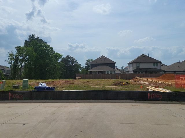 14023 Mount Hunter Drive, Willis, TX 77318