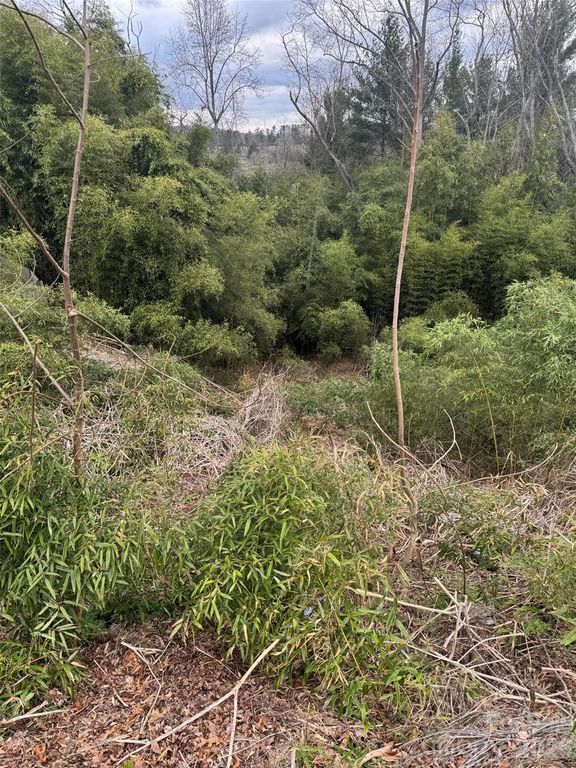 34 Belleair Road, Asheville, NC 28806