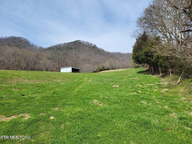183 Rough House Hollow Road, Mooresburg, TN 37811
