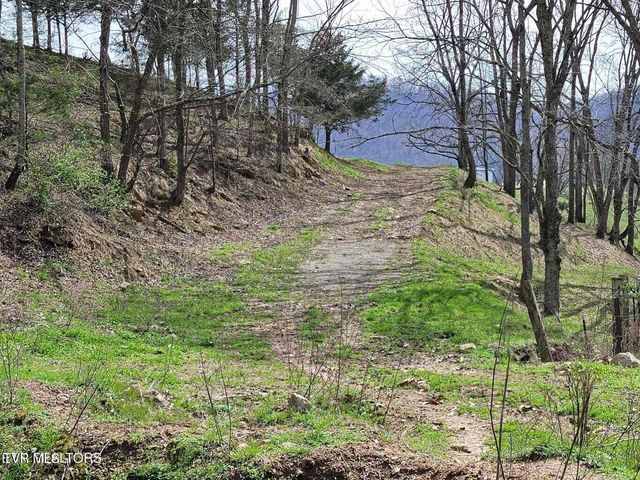 183 Rough House Hollow Road, Mooresburg, TN 37811