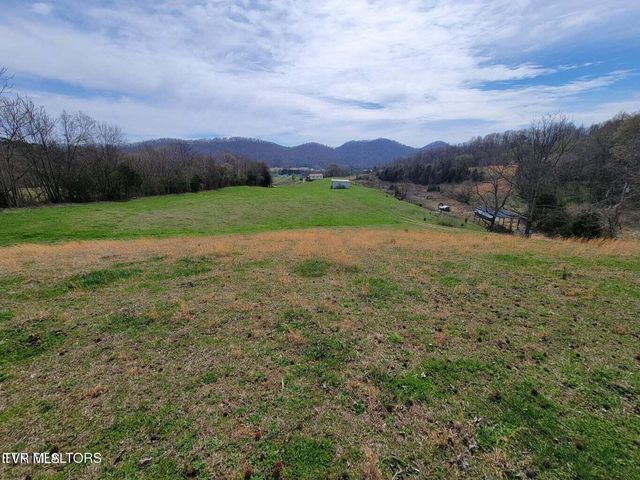 183 Rough House Hollow Road, Mooresburg, TN 37811