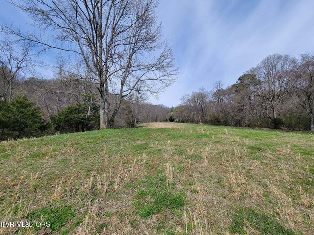 183 Rough House Hollow Road, Mooresburg, TN 37811