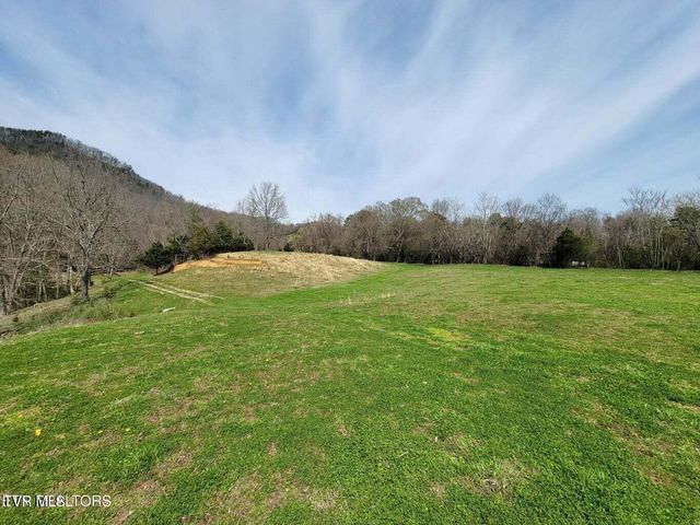 183 Rough House Hollow Road, Mooresburg, TN 37811