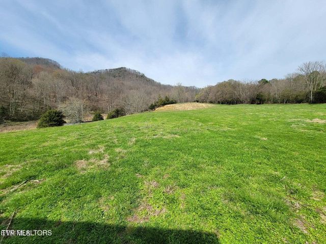 183 Rough House Hollow Road, Mooresburg, TN 37811