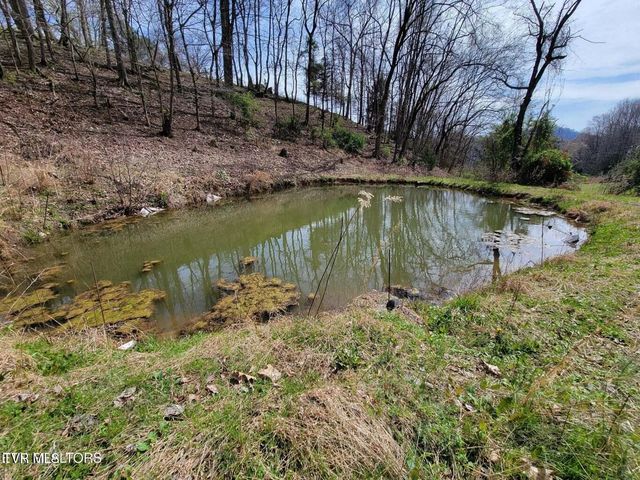 183 Rough House Hollow Road, Mooresburg, TN 37811