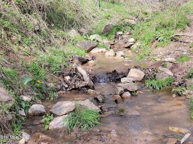 183 Rough House Hollow Road, Mooresburg, TN 37811