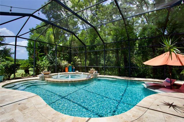 15321 AZRA DRIVE, Odessa, FL 33556