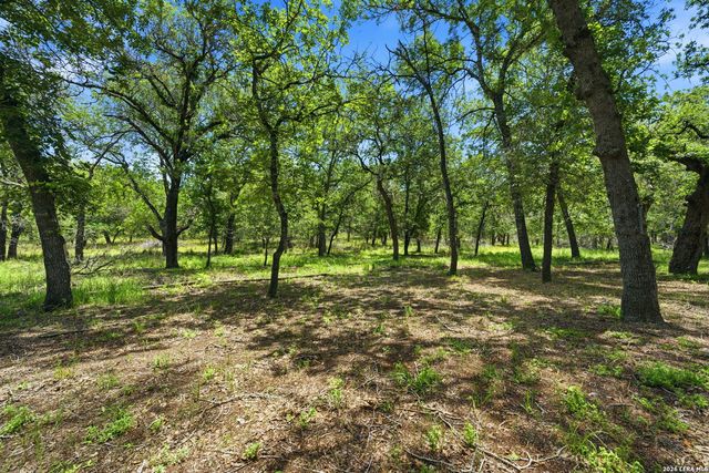 216 OAK GRV, La Vernia, TX 78121