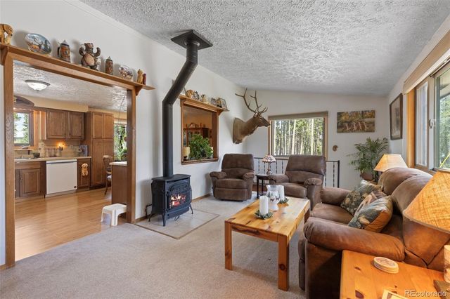 599 American Way, Breckenridge, CO 80424