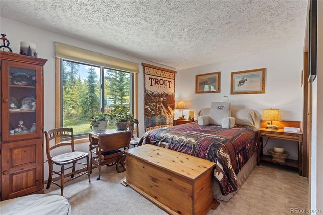 599 American Way, Breckenridge, CO 80424