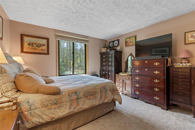 599 American Way, Breckenridge, CO 80424