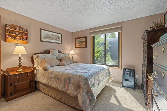 599 American Way, Breckenridge, CO 80424