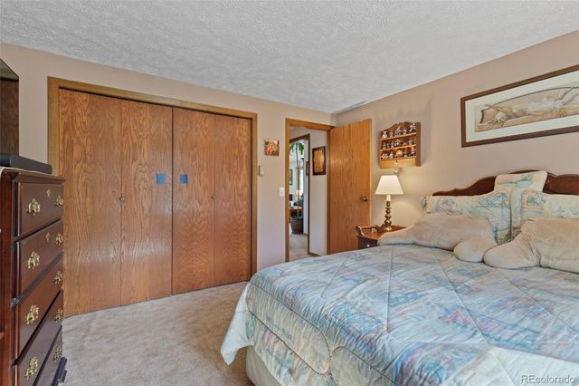 599 American Way, Breckenridge, CO 80424