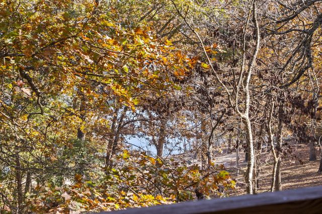 207 Bar M Lane 22, Branson West, MO 65737