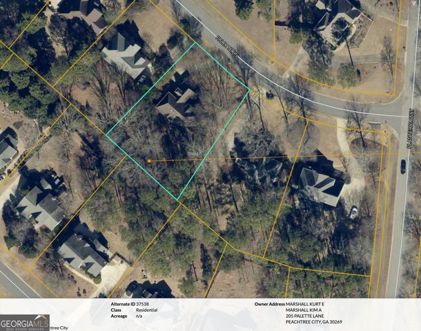 205 Palette Lane, Peachtree City, GA 30269