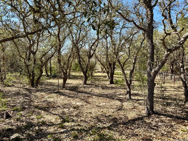 1351 Heritage HL, Canyon Lake, TX 78133