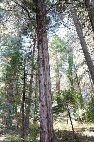 810 Sierra Vista, Twin Peaks, CA 92391