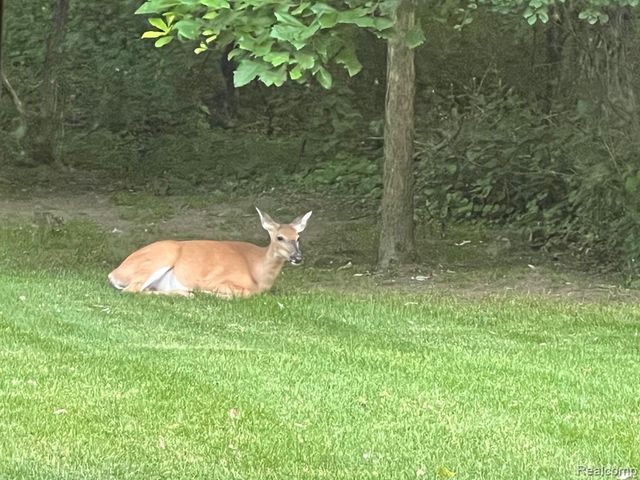 5617 Millpointe Drive, Waterford, MI 48327