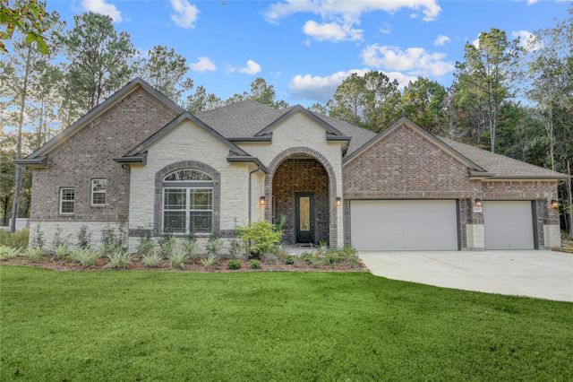 1619 Last Chisos Lane, Montgomery, TX 77316