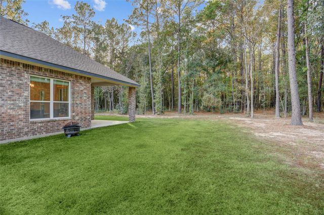 1619 Last Chisos Lane, Montgomery, TX 77316