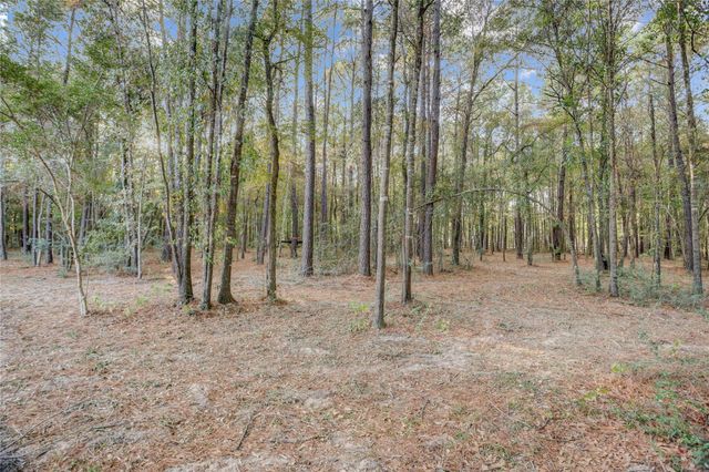 1619 Last Chisos Lane, Montgomery, TX 77316