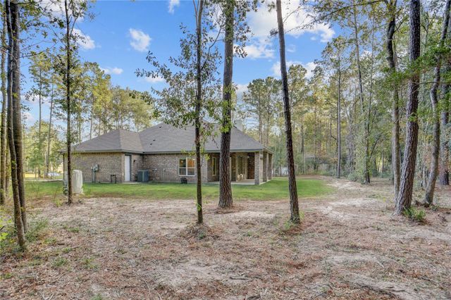 1619 Last Chisos Lane, Montgomery, TX 77316