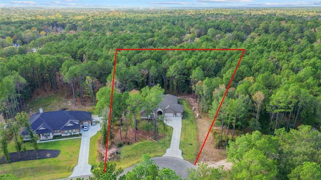 1619 Last Chisos Lane, Montgomery, TX 77316