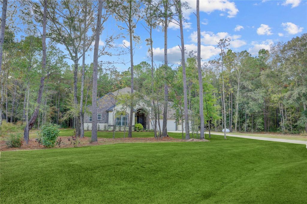 1619 Last Chisos Lane, Montgomery, TX 77316