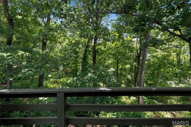 9802 Eagle Hill Lane, Sunset Hills, MO 63127