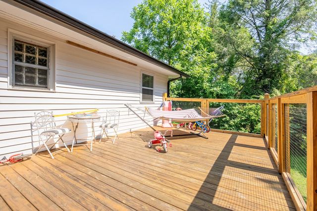 1737 Blue Ridge Drive, Blue Ridge, GA 30513