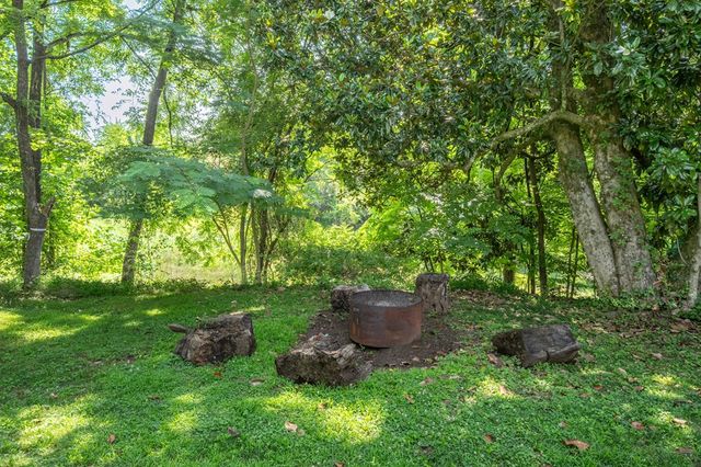 1737 Blue Ridge Drive, Blue Ridge, GA 30513