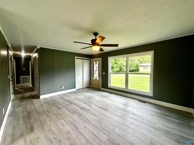 35 Friar Tuck Circle, Fyffe, AL 35971