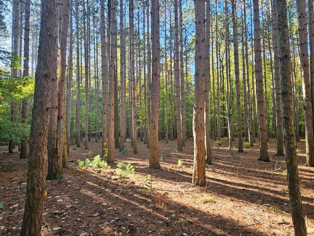 7040 Holly Drive, West Olive, MI 49460
